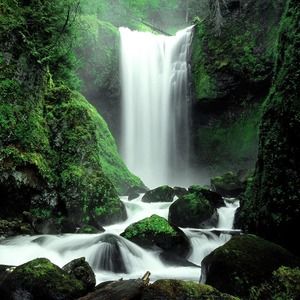 Meet your Posher, Karin